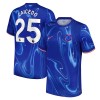 Officiële Voetbalshirt Chelsea Caicedo 25 Thuis 2024-25 - Heren